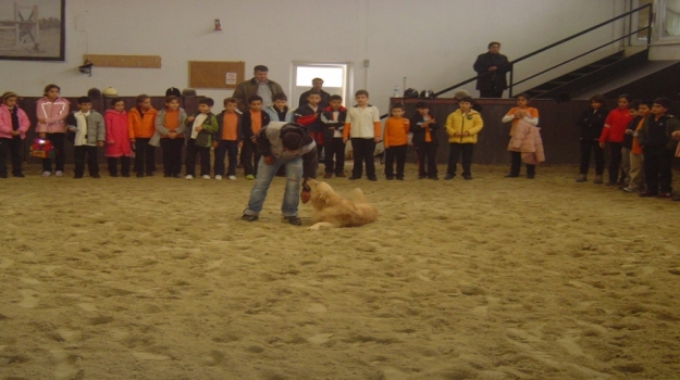 Beylikdüzü Öğrencileri K-9 Horse Club'da
