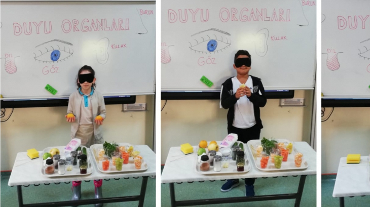 Beylikdüzü Okyanus Koleji 3.Sınıflar Duyu Organlarını Kullanıyor
