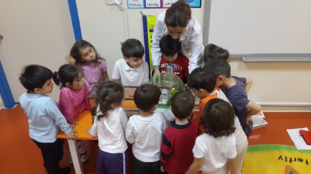 Güneşli Okul Öncesi Balıklar Grubu 4 Ekim Hayvanlar Gününü Kutluyor