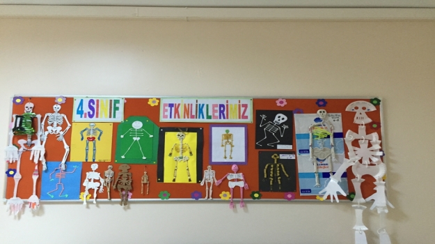 Güneşli Okyanus Koleji'nde Öğrenciler İskelet Sistemini Öğreniyor