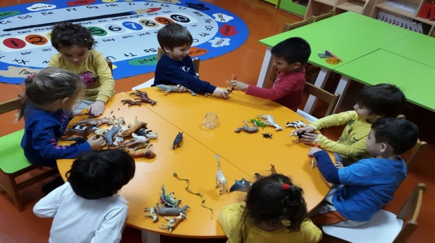 Güneşli Okyanus Koleji Okul Öncesi Çiçekler Grubu Hayvanları İnceliyor