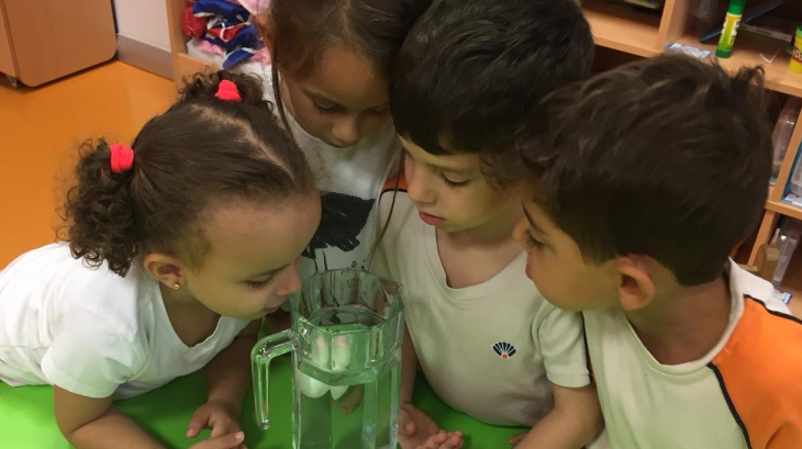 Halkalı Okul Öncesi Balıklar Grubu Fen Ve Matematik Etkinliğinde