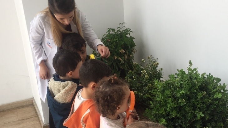 Halkalı Okul Öncesi Kuşlar Grubu Öğrencileri Fen Doğa Etkinliğinde.