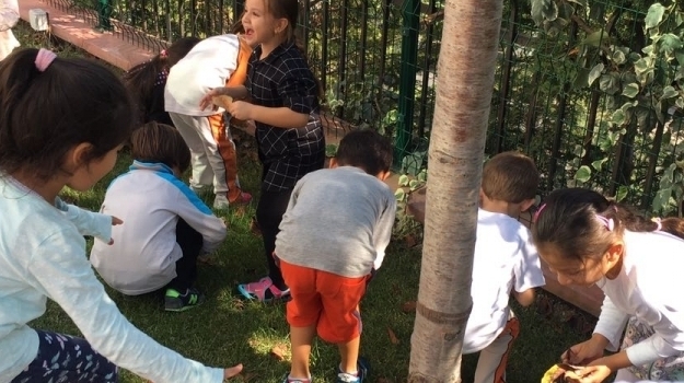 Halkalı Okul Öncesi Yıldızlar Grubu Bütünleştirilmiş Etkinlik Yapıyor