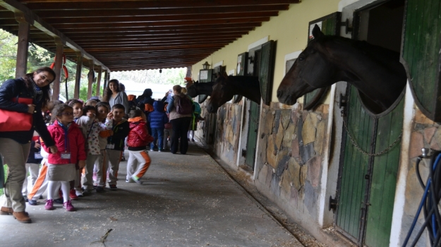 Halkalı Okyanus Koleji Okul Öncesi Öğrencileri K9 At Çiftliği Gezisinde