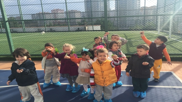 Halkalı Okyanus Koleji Okul Öncesi Yunuslar Grubu Sanat Etkinliğinde.