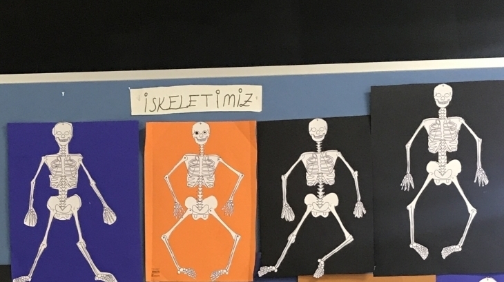İskeletimizi Tanıyalım