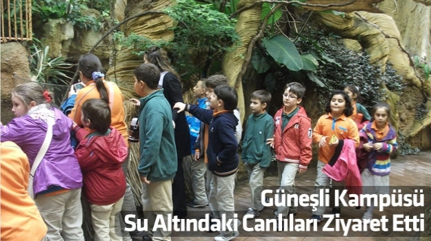 İstanbul Akvaryum Gezisi