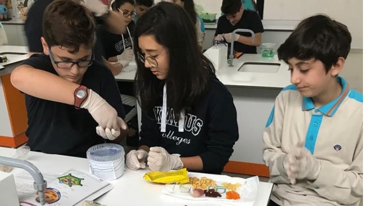Keçiören Okyanus Koleji Öğrencileri “Hücre Modeli“ Tasarlıyor...