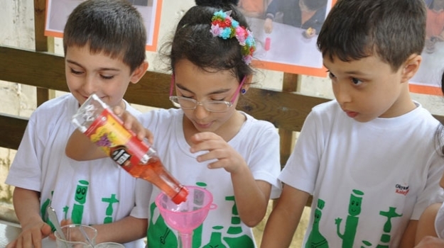 Bilim-Sanat Şenliği