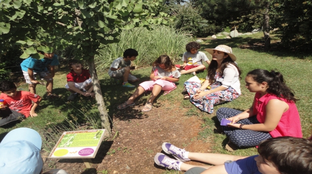 Botanik Bahçesi'nde Bitki Keşfi ve Piknik Keyfi