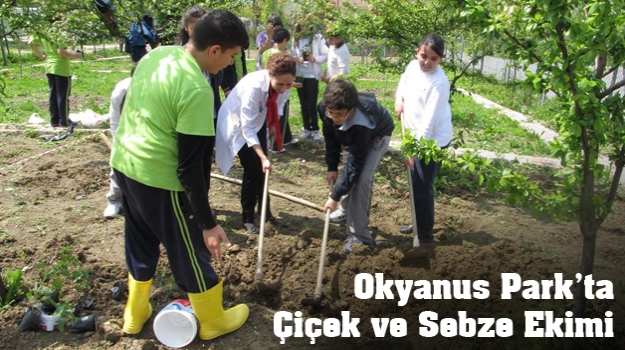 Ekilen Tohumlar Yeşeriyor
