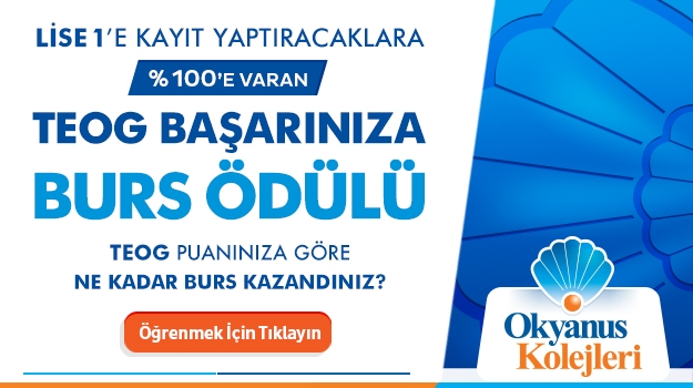Teog Başarınıza Burs Ödülü