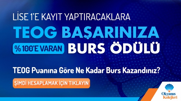 Teog Başarınıza Burs Ödülü