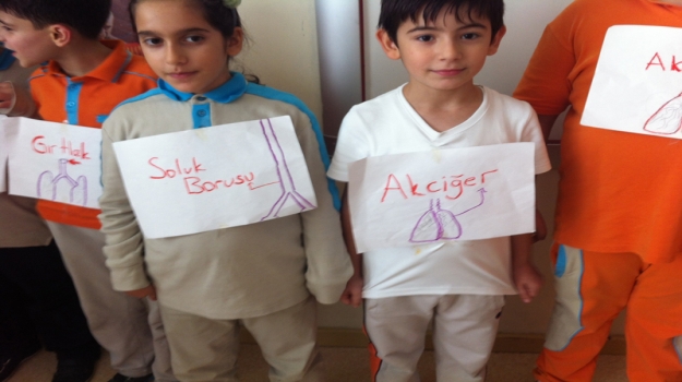 4. Sınıflar'dan Fen Dersi'nde 3 Etkinlik