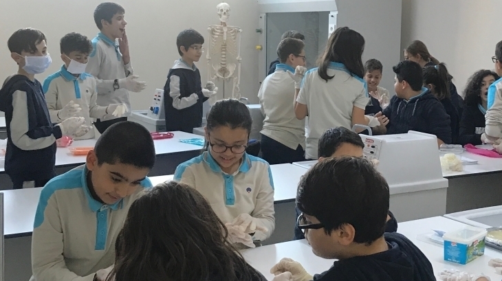 6. Sınıfların Kalp Diseksiyonu