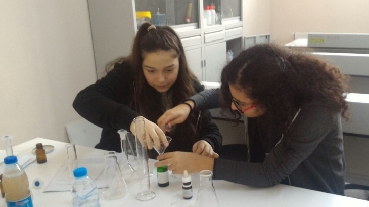 8. Sınıf Öğrencilerinin Proje Çalışmaları