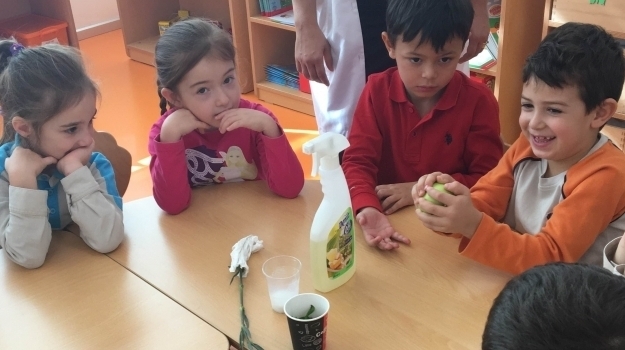 Antalya Okyanus Okul Öncesi Güneş ve Yıldızlar Grubu "Duyu Organları Hayatı Hissetme Aracıdır." Deneyini Yaptı