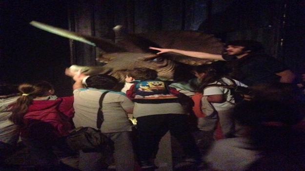 Ataşehir OKyanus Koleji Öğrencileri Jurassic Land'de
