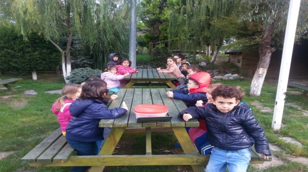 AVCILAR AĞAÇLAR GRUBU OKYANUS PARKTA