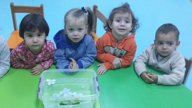 Bahçeşehir Ağaçlar Grubu Fen ve Doğa Etkinliğinde