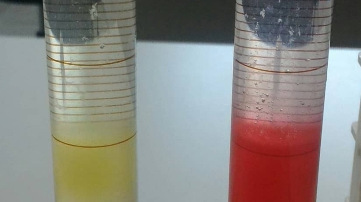 Eryaman Okyanus Koleji Ortaokul Kademesi 8. Sınıf Öğrencileri DNA İzolasyonu Yaptılar!