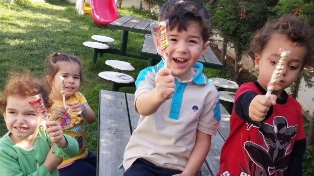 Halkalı Okyanus Koleji Ağaçlar Grubu Bahçede