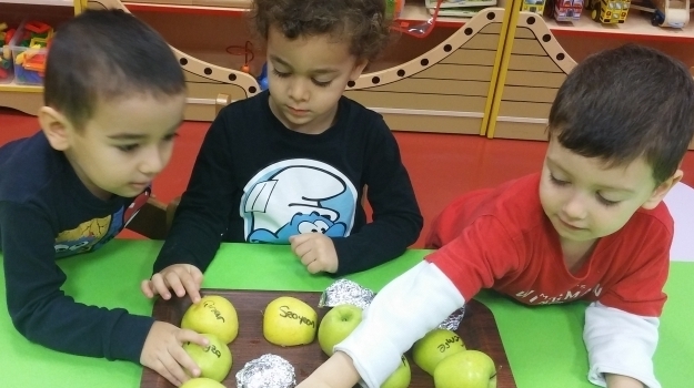 Halkalı Okyanus Koleji Ağaçlar Grubu Deney Yapıyor