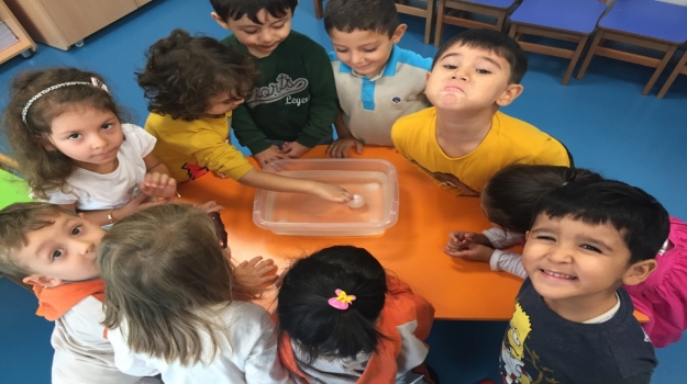 Halkalı Okyanus Koleji Okul Öncesi Yunuslar Grubu Fen Ve Doğa Dersinde.