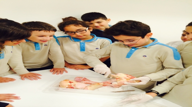 Bahçelievler Okyanus Koleji Ortaokul Öğrencileri Hareket Sistemi'ni Öğrendi