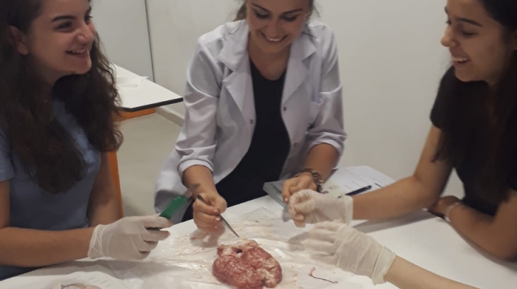 Lara Okyanus Koleji Lise Kademesi Beynin Yapısını İnceliyor.