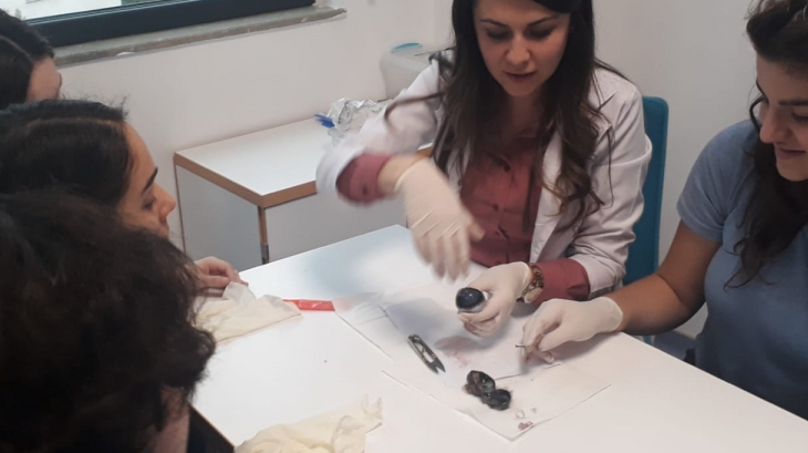 Lara Okyanus Koleji Lise Kademesi Gözün Yapısını İnceliyor