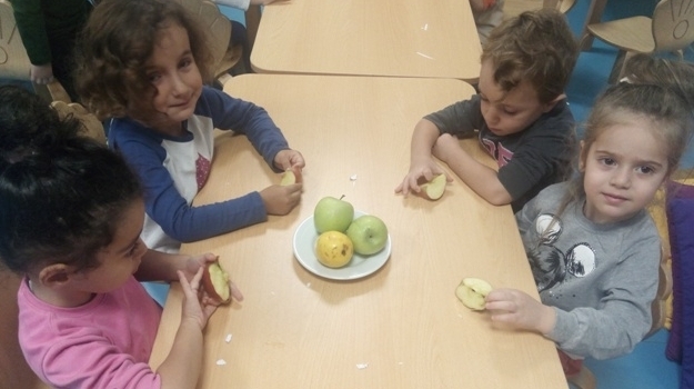 Mavişehir Çiçekler Grubu Fen Doğa Etkinliğinde Gözlem Yapıyor