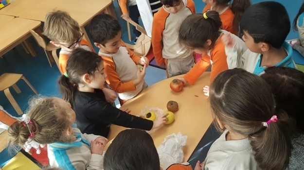 Mavişehir Gezegenler Grubu Aile Katılım Etkinliğinde Küflenen Elmaları İnceledi