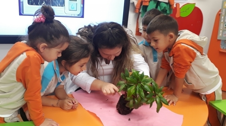 Okul Öncesi B Grupları FasTracKids Derslerinde Biyoloji Konusunu Öğreniyor