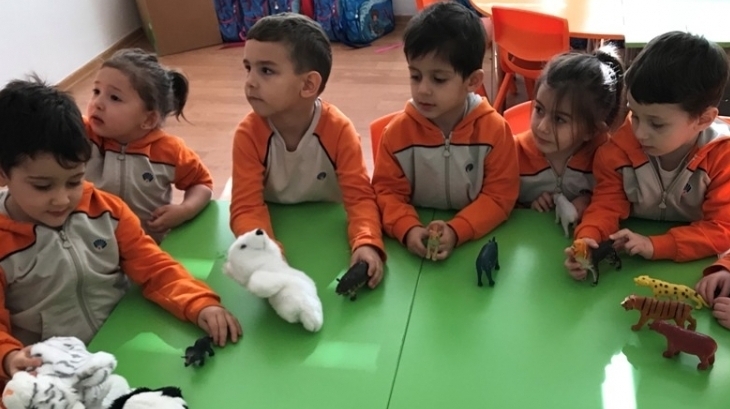 Okul Öncesi Deniz Yıldızları Grubu Proje Etkinliğinde