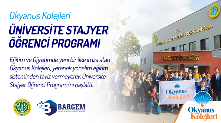 Üniversite Stajyer Öğrenci Programı