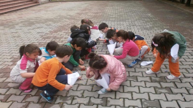 1. Sınıflar'ın Fasülye Toplama Etkinliği