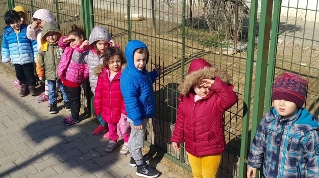 Avcılar Okyanus Koleji Rüzgar Grubu Okyanus Park’ta