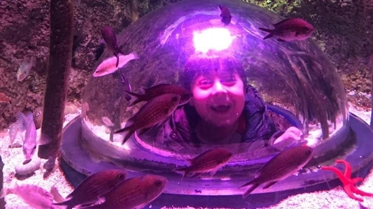 Bahçelievler Okyanus Koleji 1.Sınıf Öğrencileri Sealife İstanbul Gezisinde