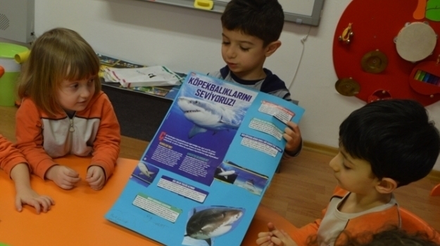 Bahçelievler Okyanus Okul Öncesi İstiridye  Grubu Sosyal Beceri Dersinde Sunum Yapıyor