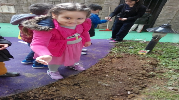 Bahçeşehir Okyanus Anaokulu Bitki Ekim Şenliği
