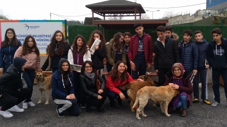 Beykent Okyanus Koleji Ortaokul Kademesi "Hayvan Barınağı Gezisi"