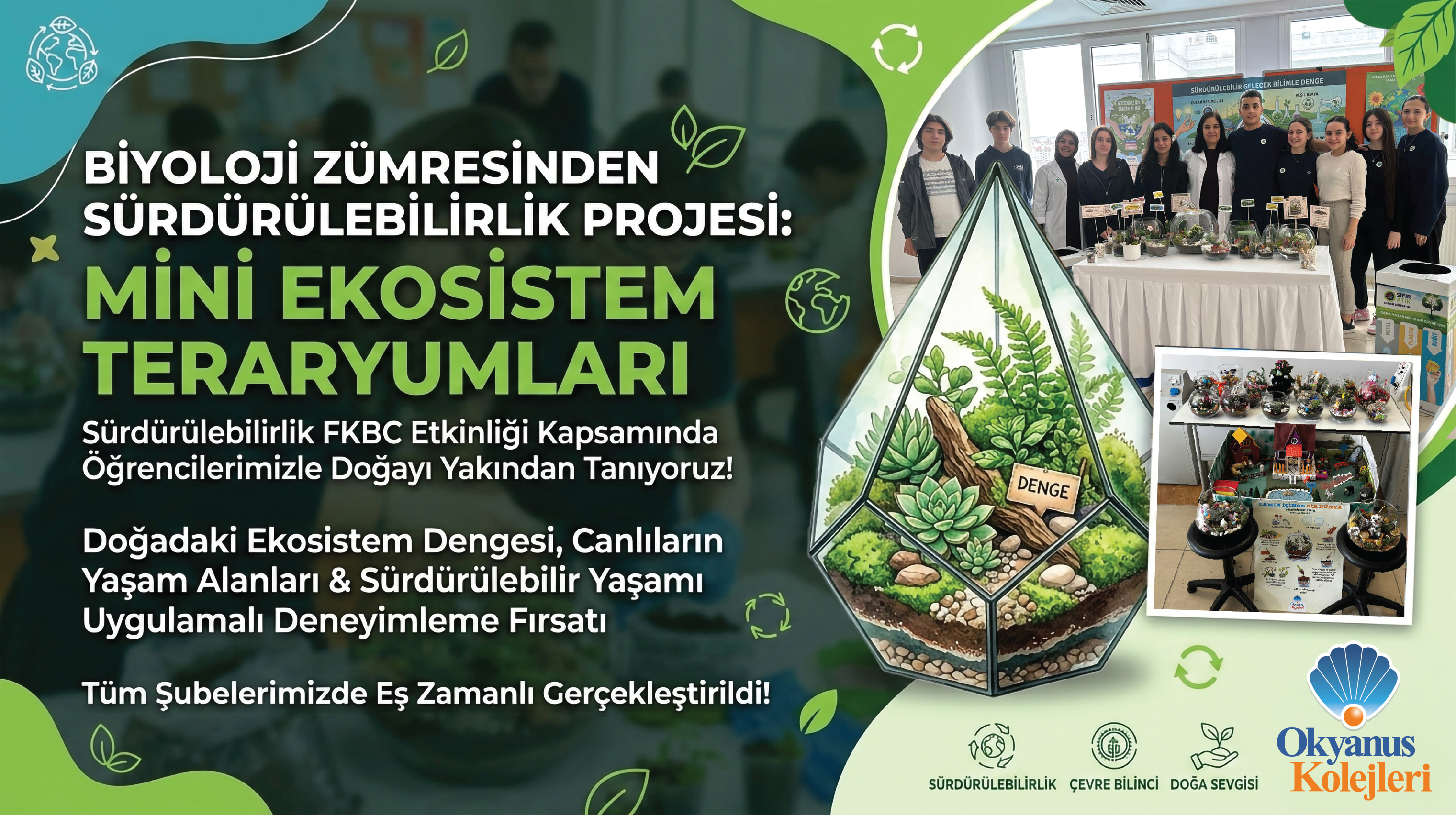 Biyoloji Zümresinden Sürdürülebilirlik Projesi: Mini Ekosistem Teraryumları