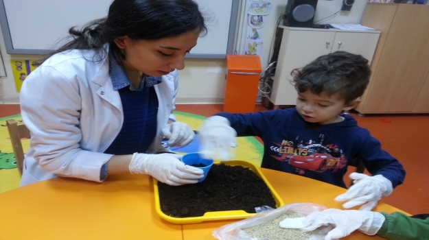 Güneşli Okyanus Koleji Okul Öncesi Çiçekler Grubu Orman Haftasını Kutluyor