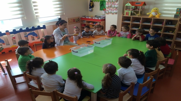 Güneşli Okyanus Koleji Okul Öncesi Rüzgarlar Grubu Batan - Batmayan Cisimler Adlı Deneyi Yapıyor