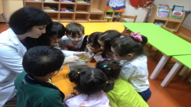 Güneşli Okyanus Koleji Yunuslar Grubu Deney  Yapıyor