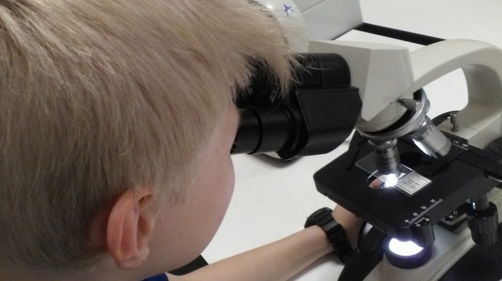 İlkokulu 4-A Sınıfı 'Mikroskobik Canlıları' İncelediler