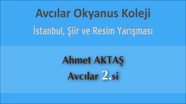 İstanbul Resim ve Şiir Yarışması 2.liği