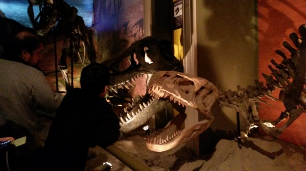 Jurassic Land'da Dinozor Çağına Yolculuk